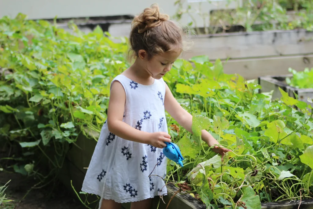 kid planting a mini garden
